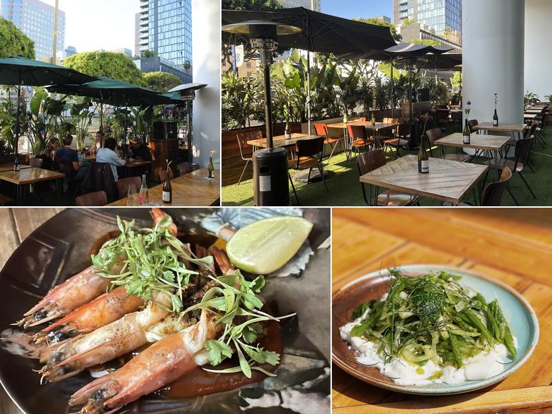 Good Clean Fun 868 S Olive St, Los Angeles