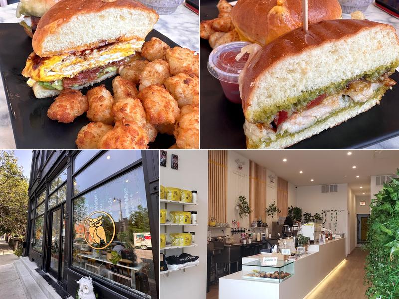 Bad Owl Coffee Roasters