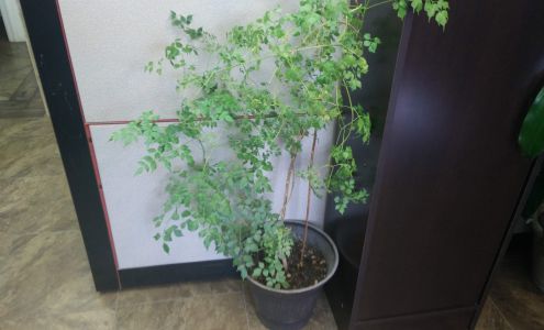 Envy Salon 144 Gibson St, Fredericton New Brunswick E3A 4E2