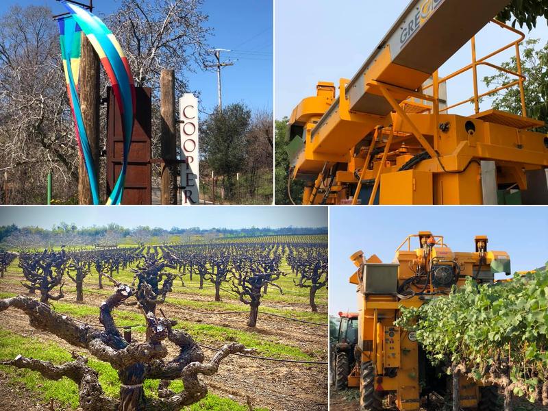 Cooper Vineyards 21365 Shenandoah School Rd, Plymouth