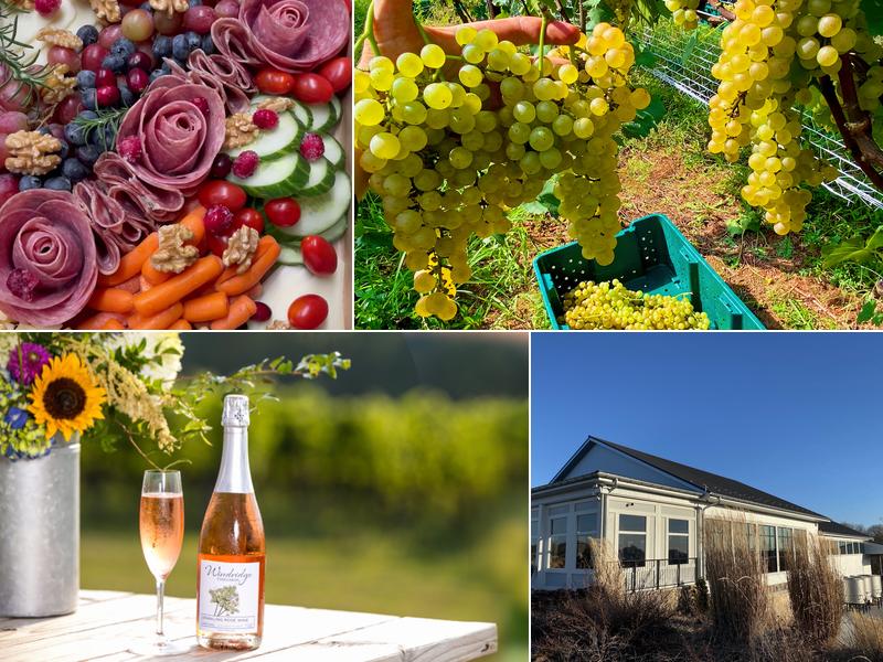 Windridge Vineyards 15700 Darnestown Rd, Darnestown