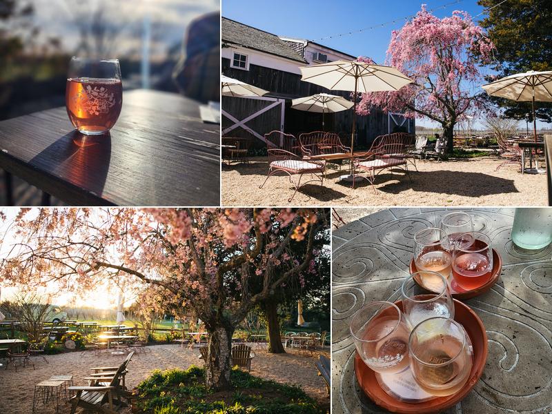 Croteaux Vineyards 1450 S Harbor Rd, Southold