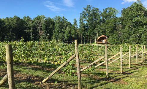 Spring Run Vineyards