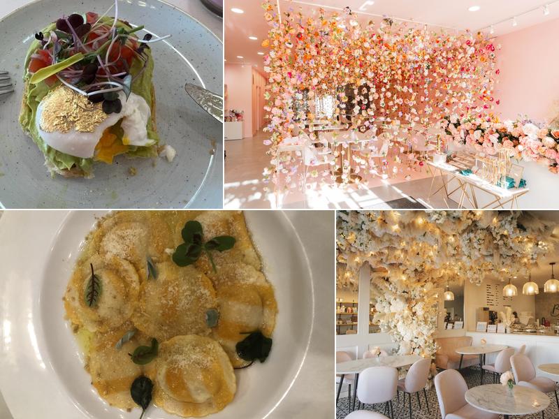 Brew and Bloom 10550 115 St NW, Edmonton