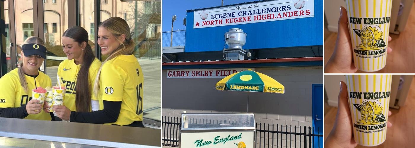 New England Frozen Lemonade