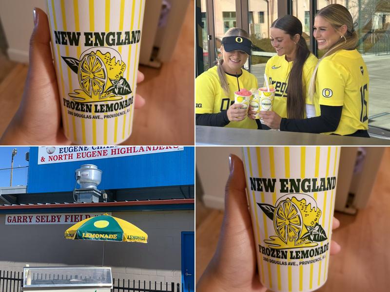 New England Frozen Lemonade