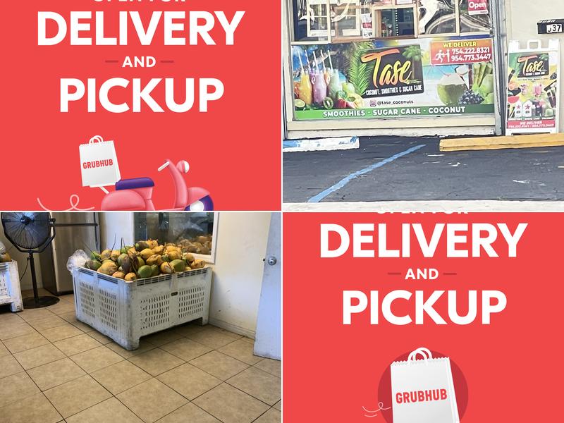 Tase: Smoothie, Sugar Cane & Coconut 537 FL-7, Margate