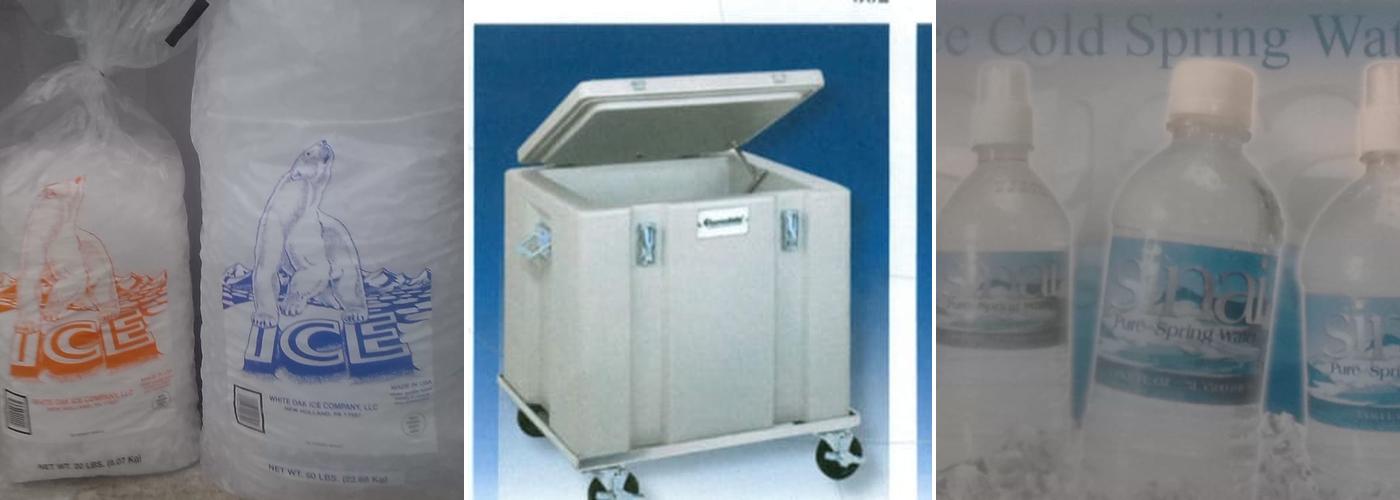 Sinai Spring Water Co Inc