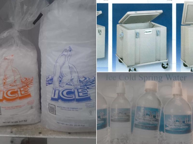 Sinai Spring Water Co Inc