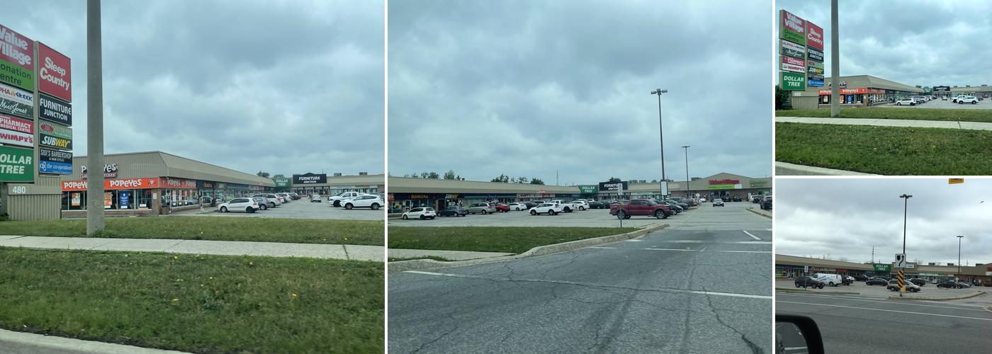 Fiddleheads Health and Nutrition