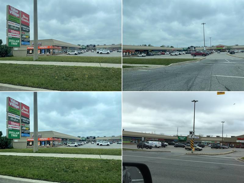 Fiddleheads Health and Nutrition