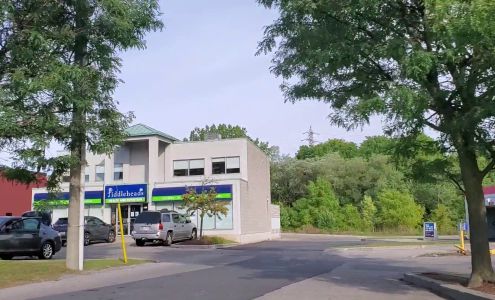 Fiddlehead Health And Nutrition