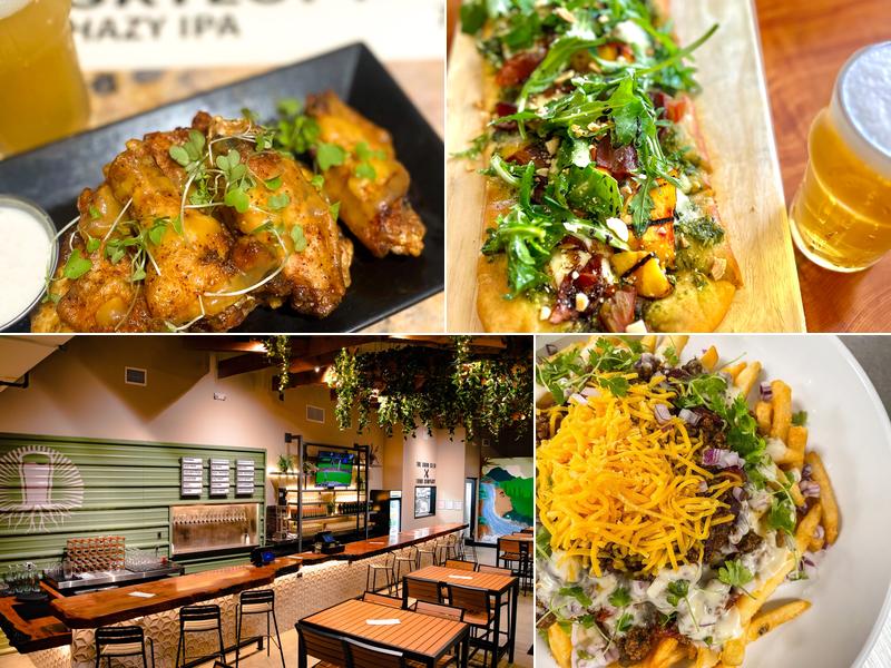 Burgeon at The Arbor - Little Italy