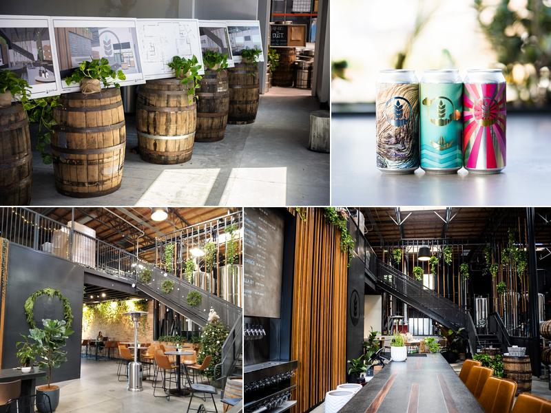 Pure Project Vista 1305 Hot Spring Way, Vista