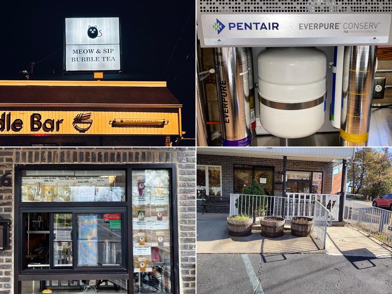 Meow & Sip Bubble Tea