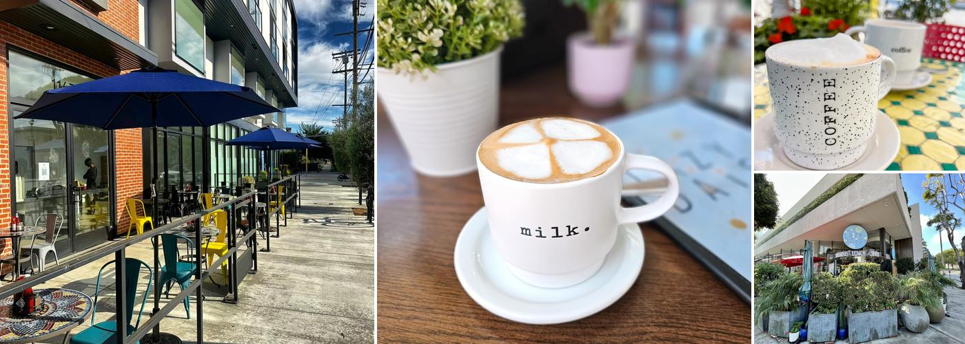 Lazy Daisy - Westwood