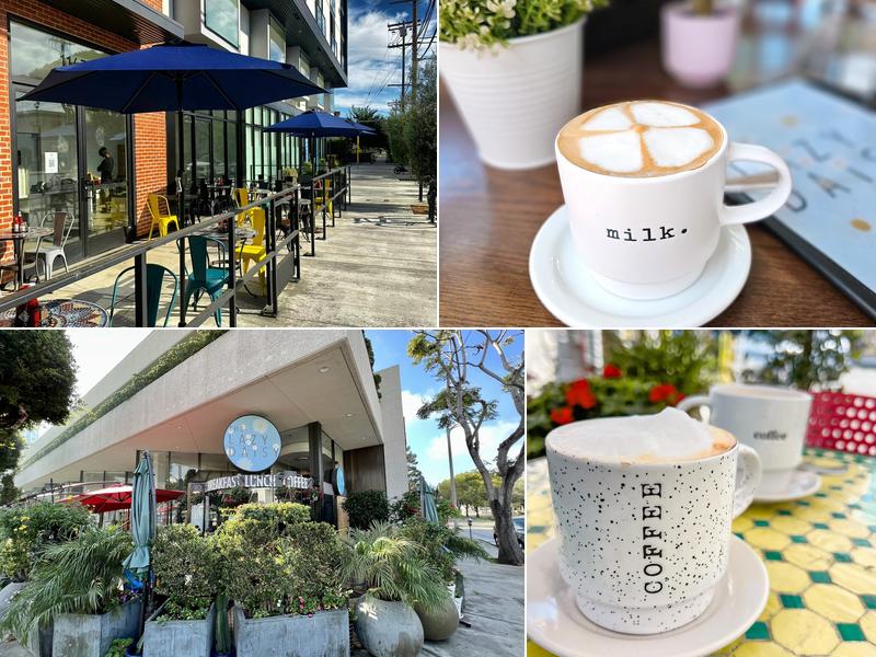 Lazy Daisy - Westwood