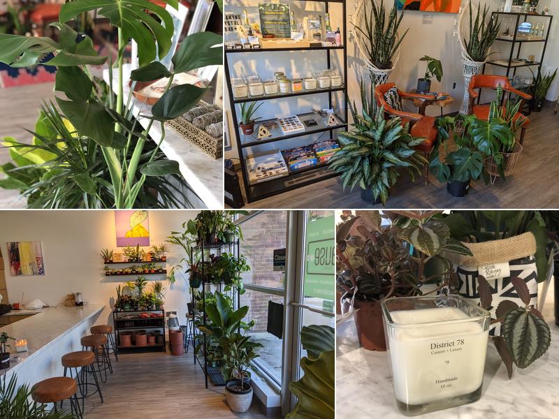 District 78-Pause Cincy