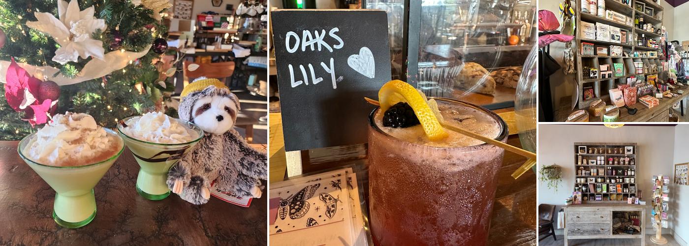 Luna's Coffee, Wine, and Butterfly Cafe