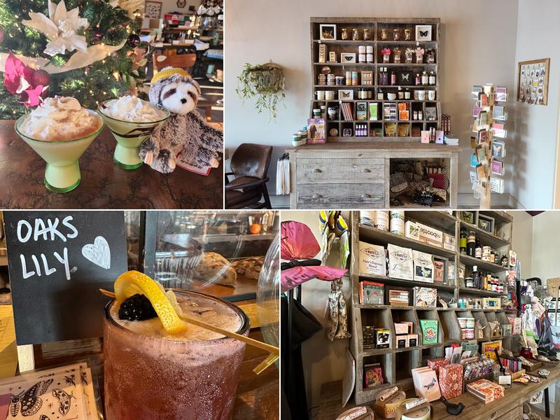 Luna's Coffee, Wine, and Butterfly Cafe