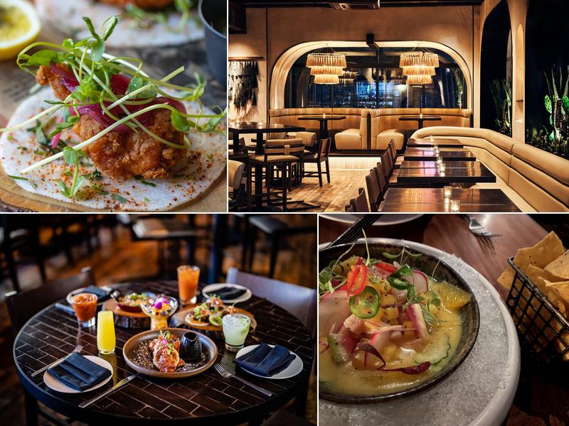 dLeña by Chef Richard Sandoval Menu