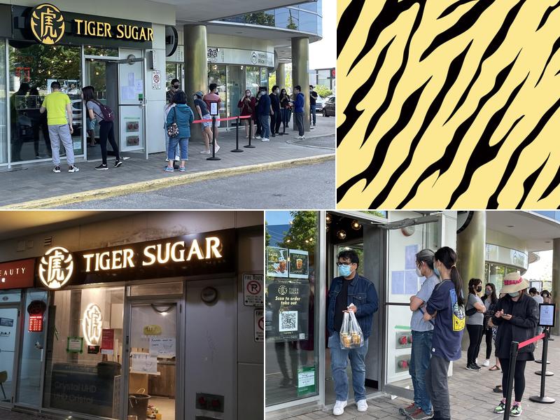 Tiger Sugar - Thornhill