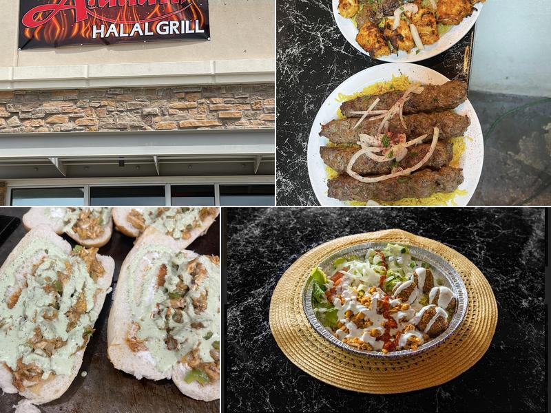Aladdin Halal Grill