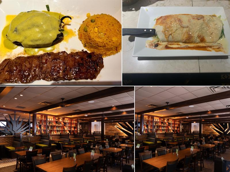 Señor Tequila Mexican Grill - Wesley Chapel