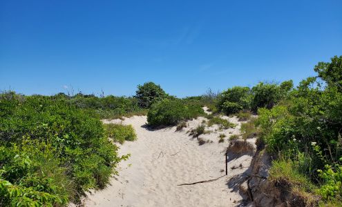 Cape May National Wildlife Refuge Wildwood Crest