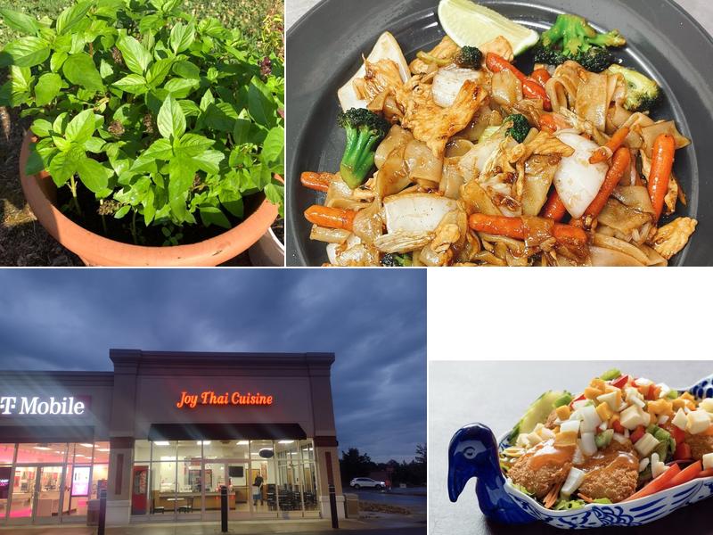 Joy Thai Cuisine Lewisburg