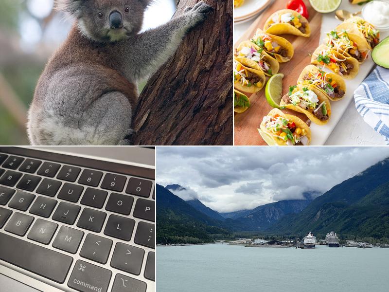 Presto Redesign Caterer X