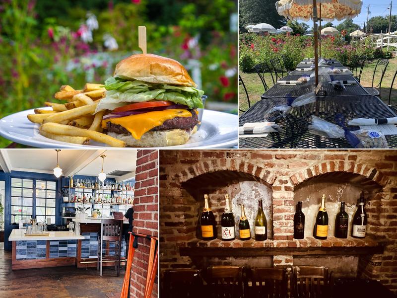 Zinnia 9201 Colesville Rd, Silver Spring