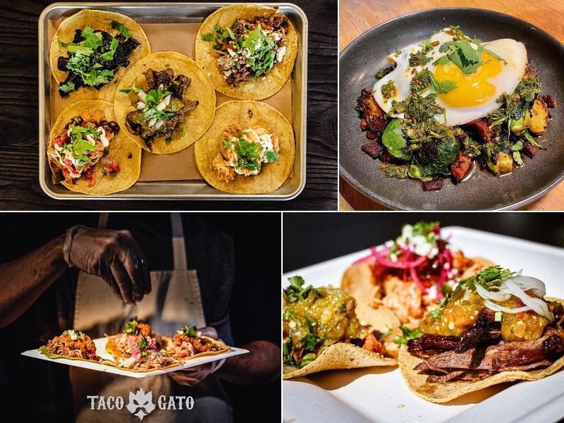 Taco Gato 111 Main St, Hudson