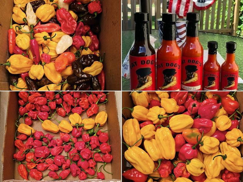 Fat Dog's Flavored Sriracha