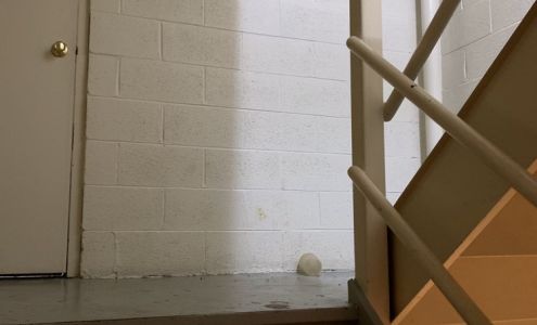 The myrtles at Old Towne