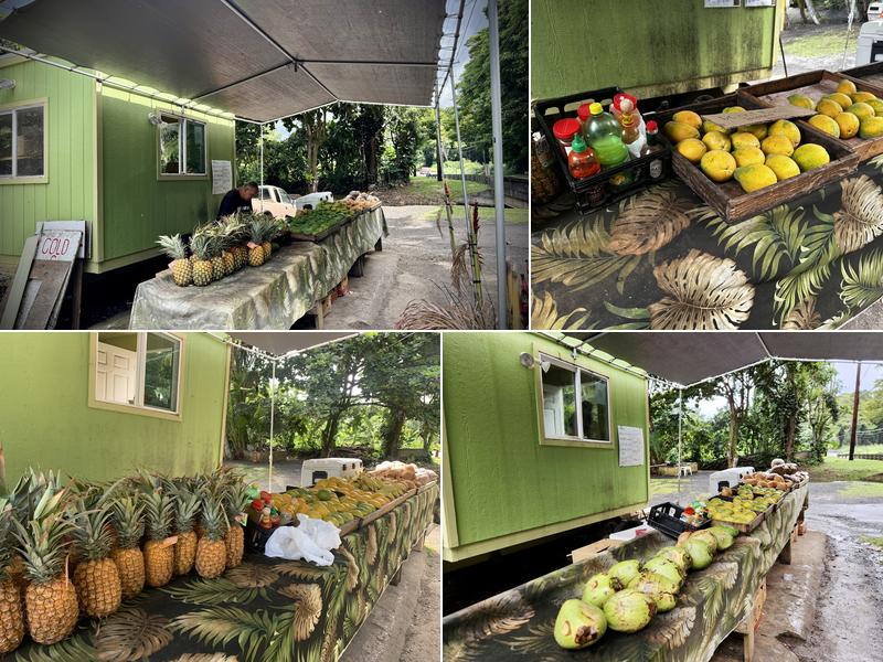 Kualoa Coconut Man 48-277-48, 343 Kamehameha Hwy, Kaneohe