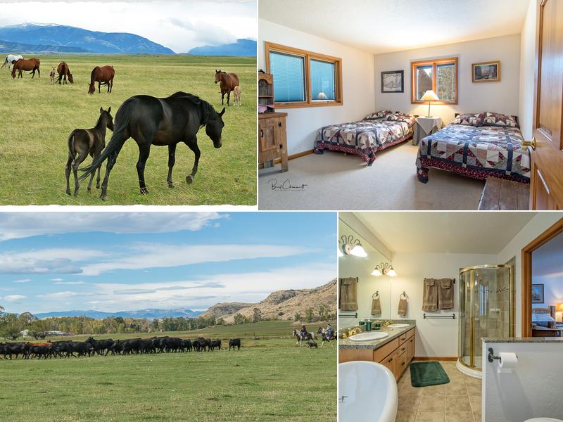 Paintbrush Adventures