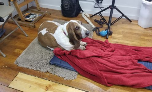 Cedar Street Art Collective