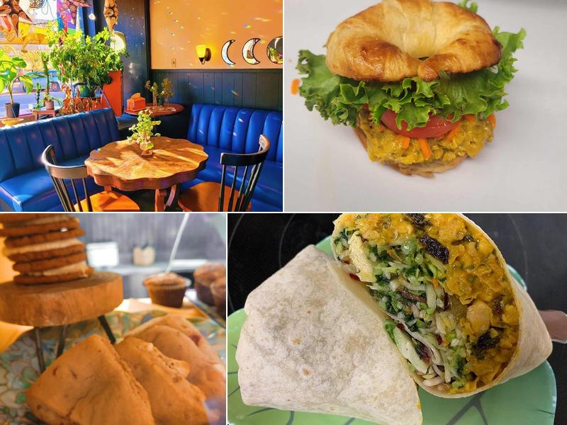 Orange Cat Cafe 222 Broadway, Farmington