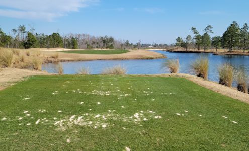 Cape Fear National Golf Course at Brunswick Forest