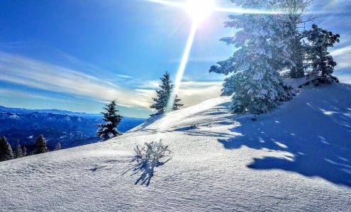 Ruthie New, Fathom Realty, Boise Real Estate Home Team