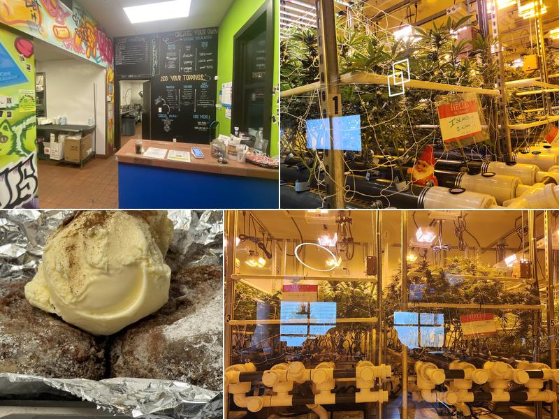 The Cheesehead Joint