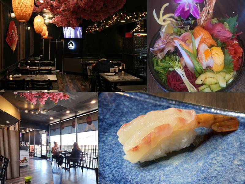 Blufish Sushi & Grill