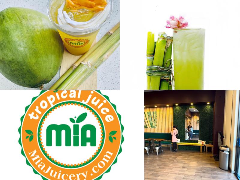 Tao Tau Farm Nursery