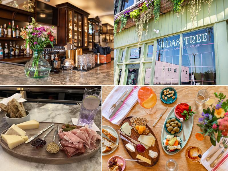 Judas Tree 1507 Pine Ave, Niagara Falls