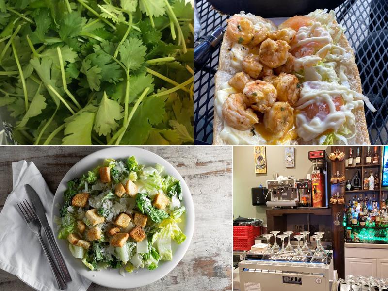 Don Villavaso on the Bayou