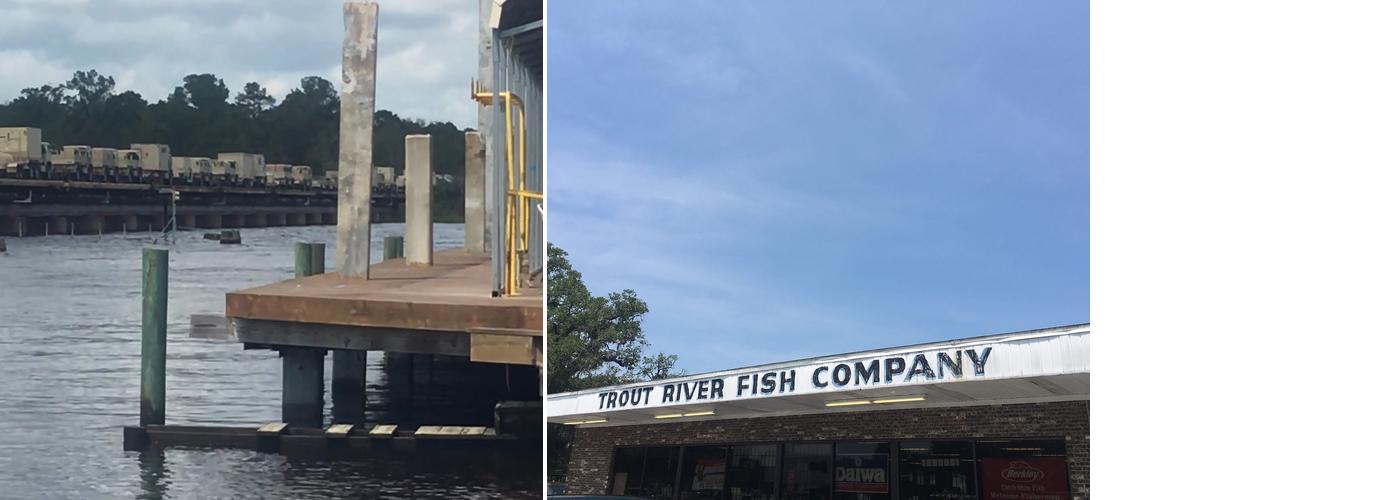 Trout River Fish Co Menu
