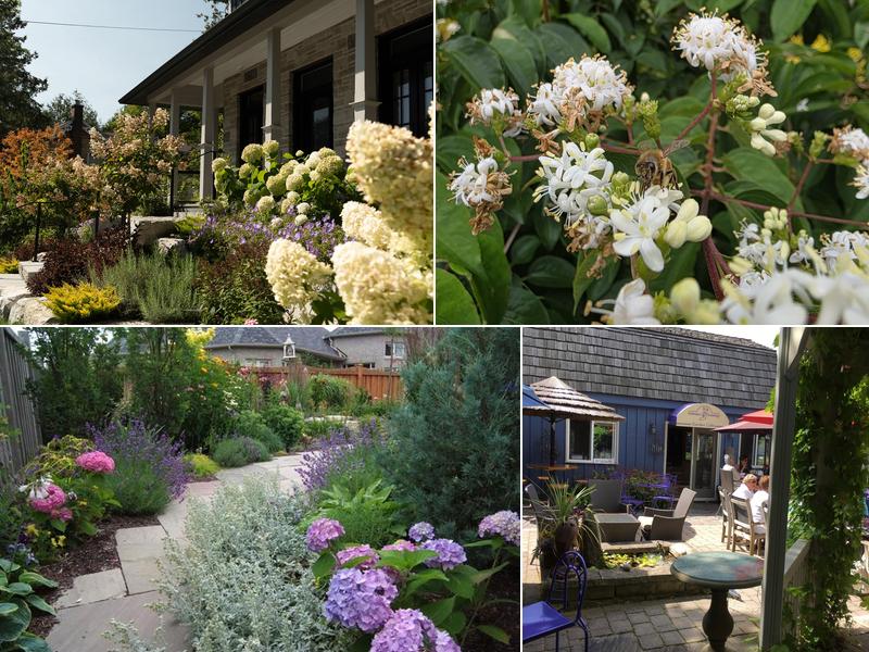 Pathways To Perennials