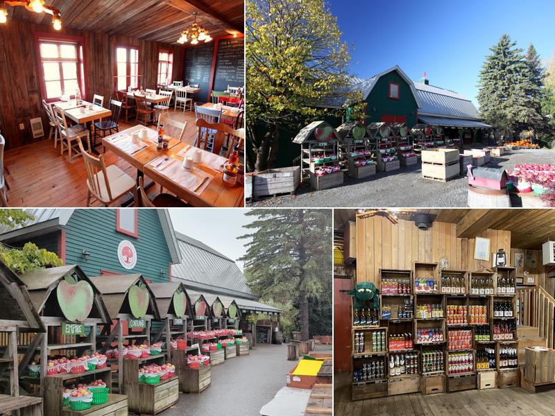 Petit et Fils - Verger et Cidrerie 1020 Chem. de la Montagne, Mont-Saint-Hilaire