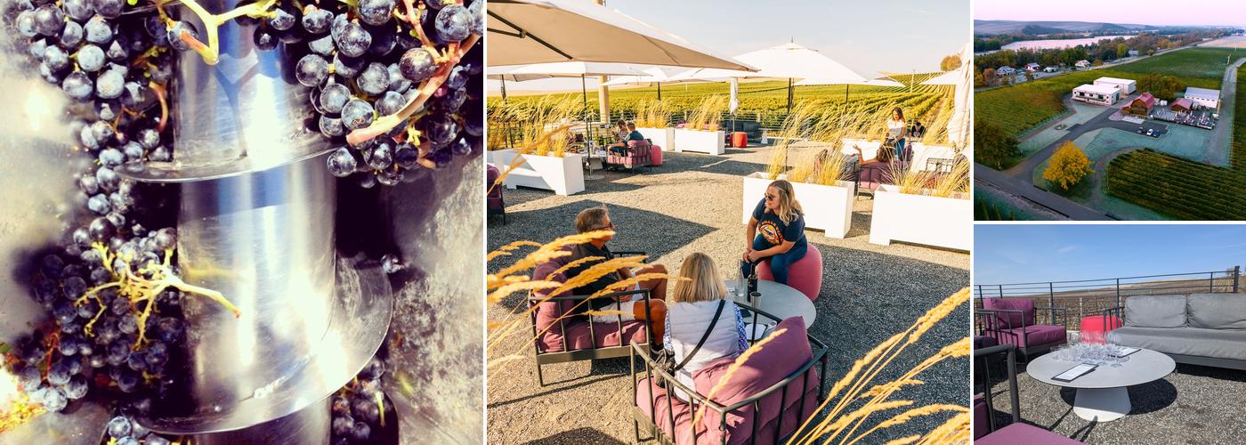 Walla Walla Vintners